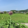 「地盤調査」の画像です。