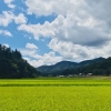 「本来の目的」の画像です。
