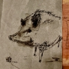「猪」の画像です。
