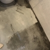 「塗膜」の画像です。