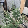 「ツベ」の画像です。