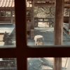「センセイ」の画像です。