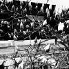 「団地協定」の画像です。