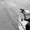 「地盤調査」の画像です。