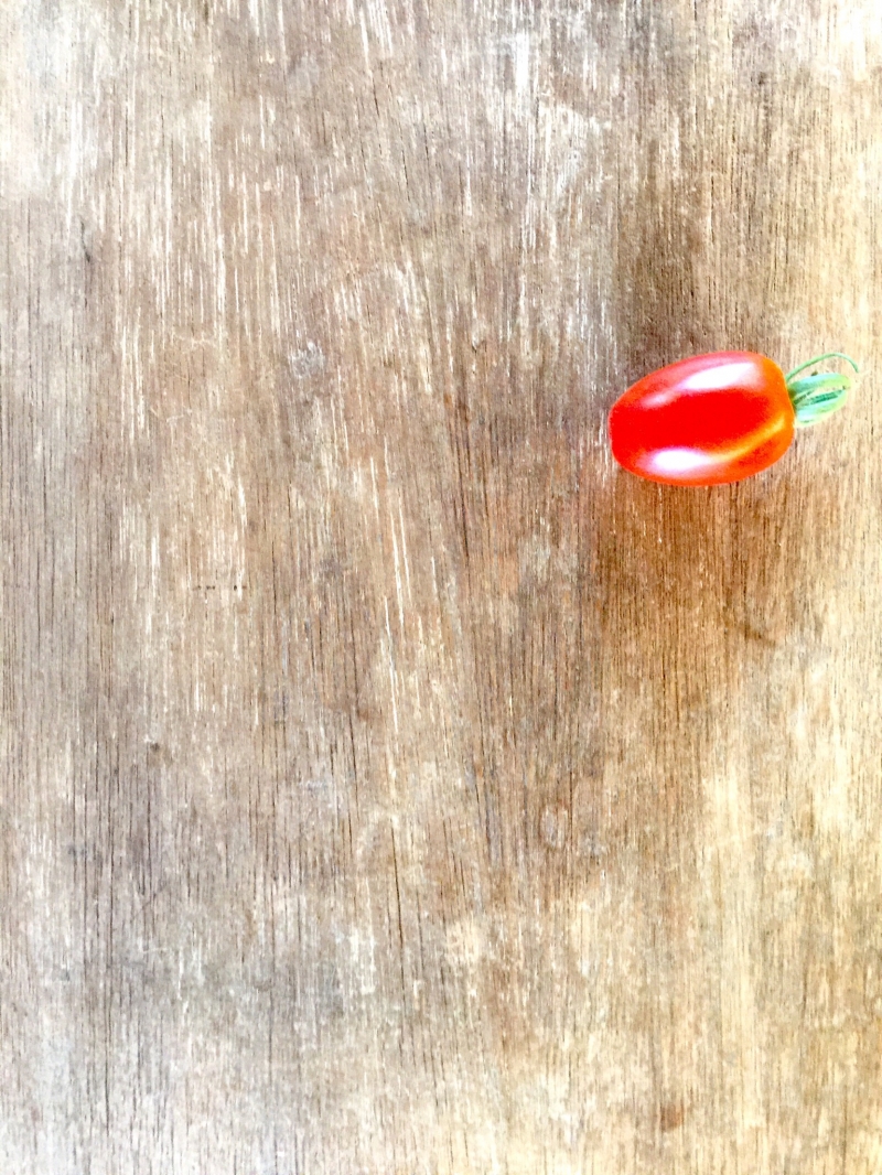 「花壇でとれた初トマト」の画像です。