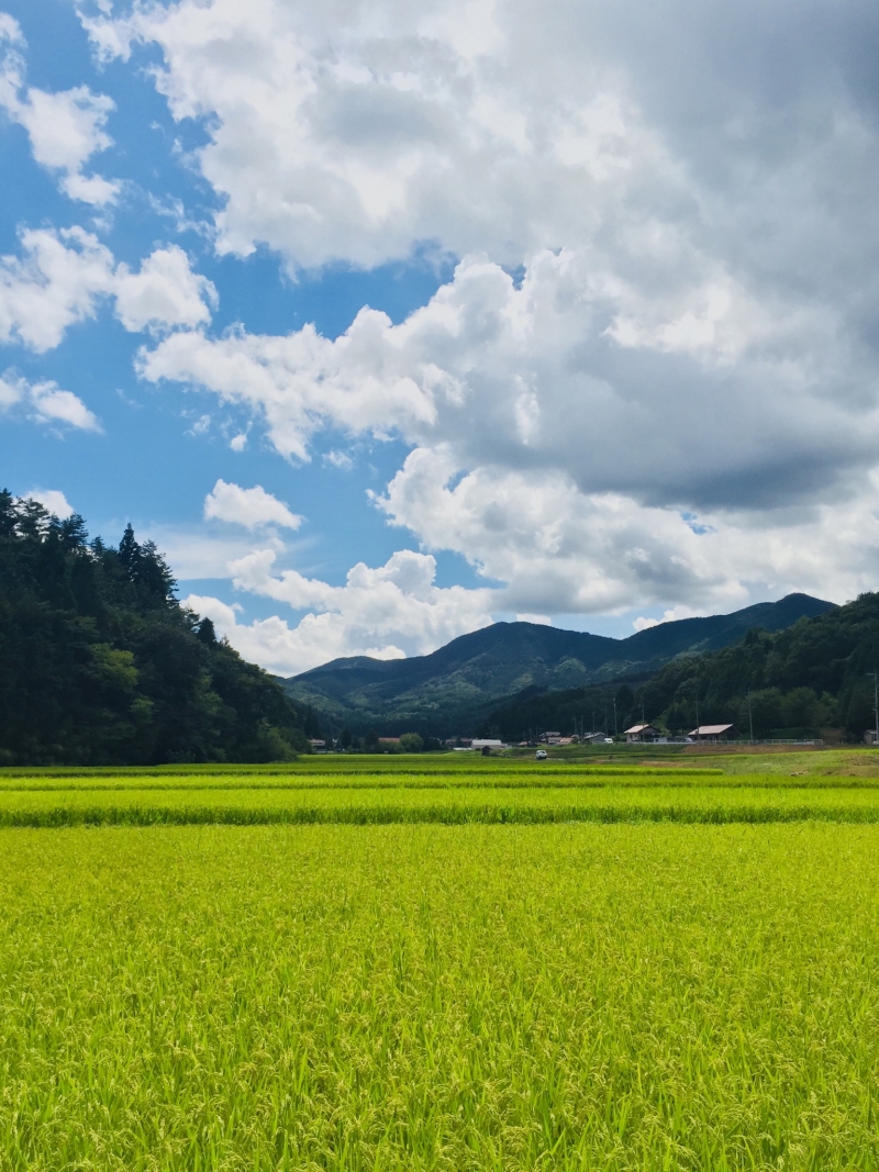 「本来の目的」の画像です。